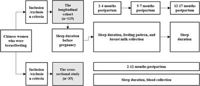 Sleep duration of lactating mothers and its relationship with feeding pattern, milk macronutrients and related serum factors: A combined longitudinal cohort and cross-sectional study